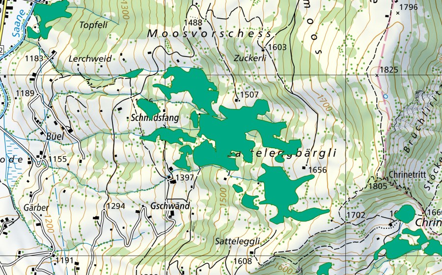 Landeskarte swisstopo mit dem Schutzperimeter von Schmidsfang/Satteleggbärgli (Flachmoor)
