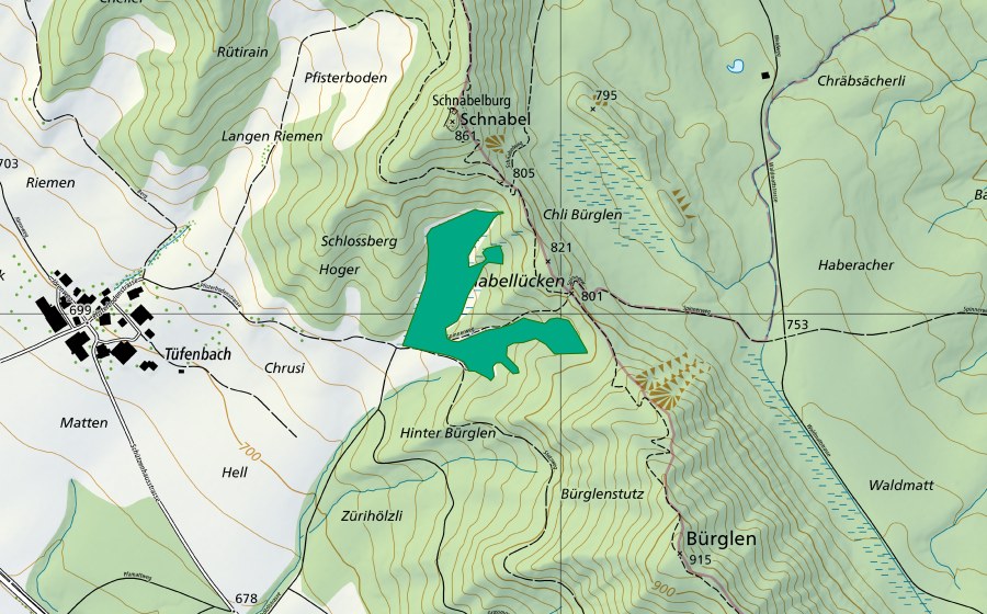 Carte nationale swisstopo avec le périmètre protégé de Schnabellücke (Bas-marais)