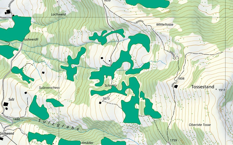 swisstopo national map showing the protected perimeter of Schnätz (Fen)