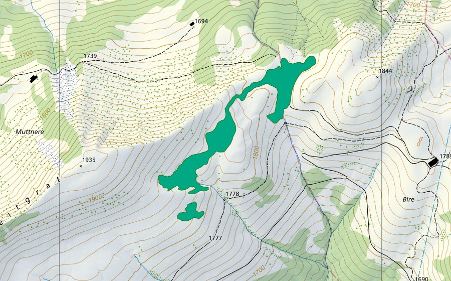 Landeskarte swisstopo mit dem Schutzperimeter von Schneitgrat (Flachmoor)