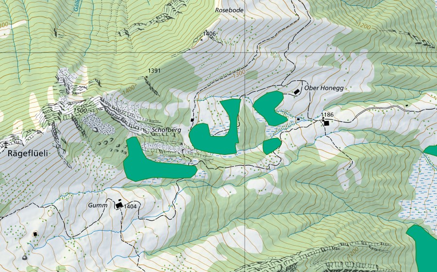 Carta nazionale swisstopo con il perimetro protetto di Schofberg (Torbiera bassa)