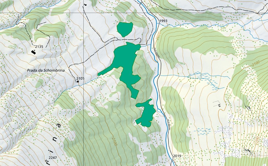 Landeskarte swisstopo mit dem Schutzperimeter von Schombrina (Flachmoor)