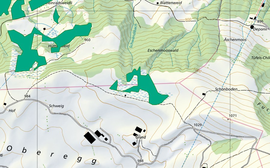 Carte nationale swisstopo avec le périmètre protégé de Schönboden (Bas-marais)