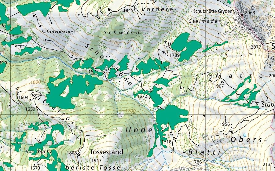 swisstopo national map showing the protected perimeter of Schönebode (Fen)