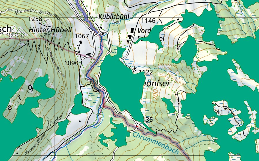 Carte nationale swisstopo avec le périmètre protégé de Schönisei/Harzisboden (Bas-marais)