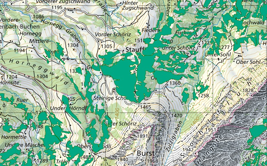 Carte nationale swisstopo avec le périmètre protégé de Schöriz (Bas-marais)