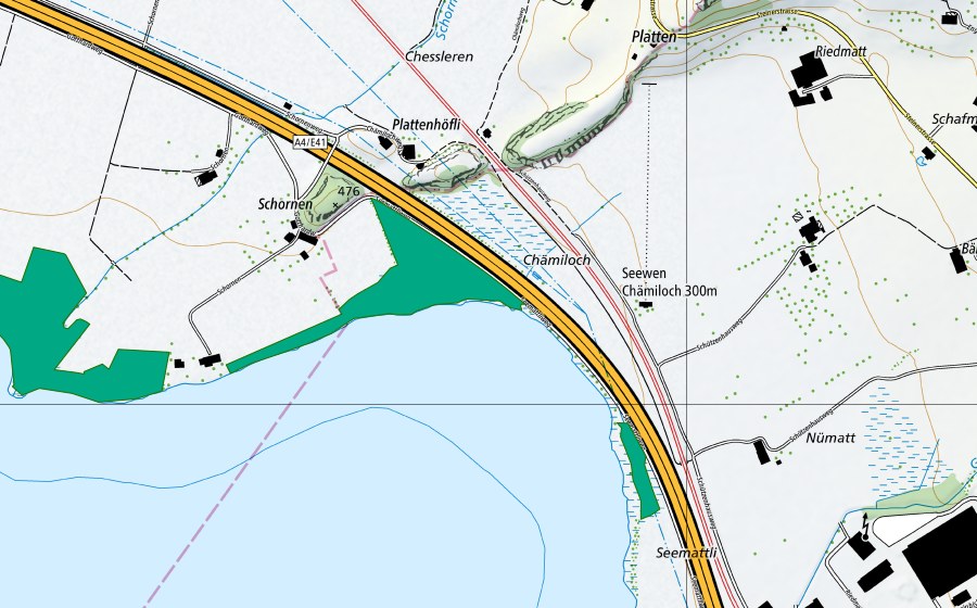 Carte nationale swisstopo avec le périmètre protégé de Schornen (Bas-marais)