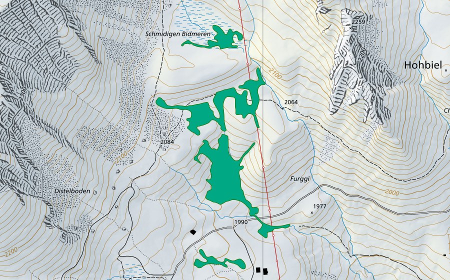 Landeskarte swisstopo mit dem Schutzperimeter von Schreckfeld (Flachmoor)
