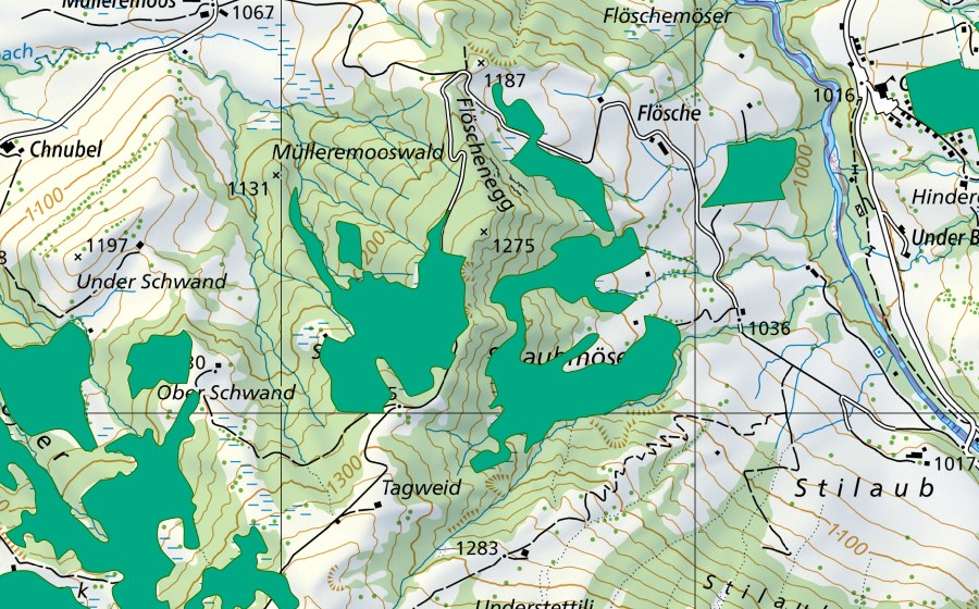 Landeskarte swisstopo mit dem Schutzperimeter von Schwandmoos (Flachmoor)
