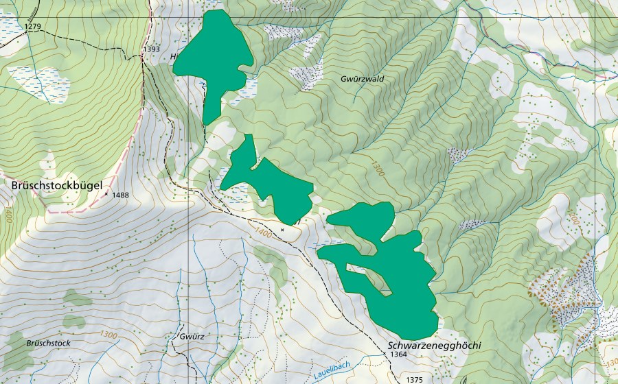 Landeskarte swisstopo mit dem Schutzperimeter von Schwarzeneggehöchi/Hinter Gwürz (Flachmoor)