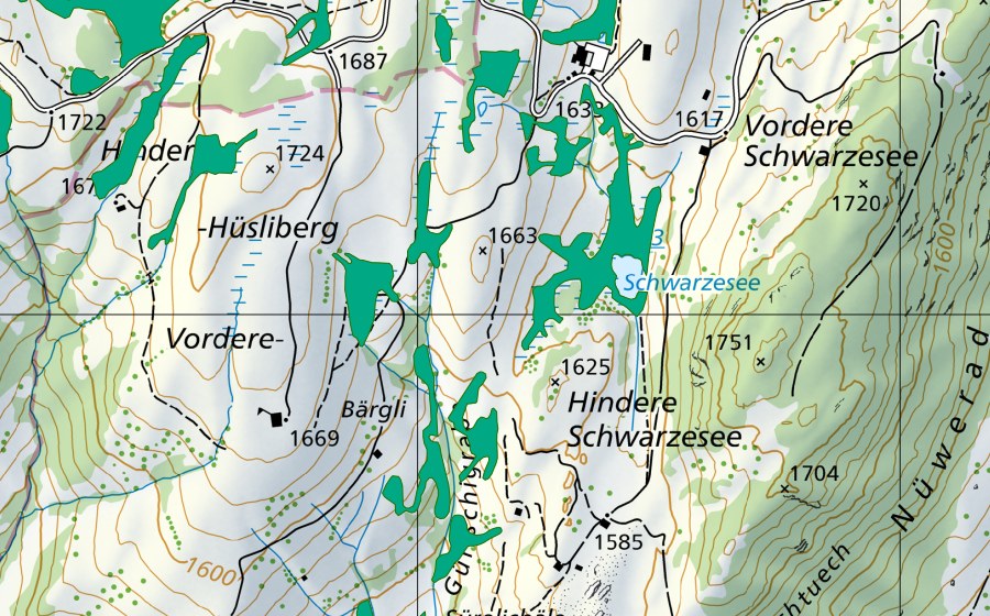 Carte nationale swisstopo avec le périmètre protégé de Schwarzesee (Bas-marais)