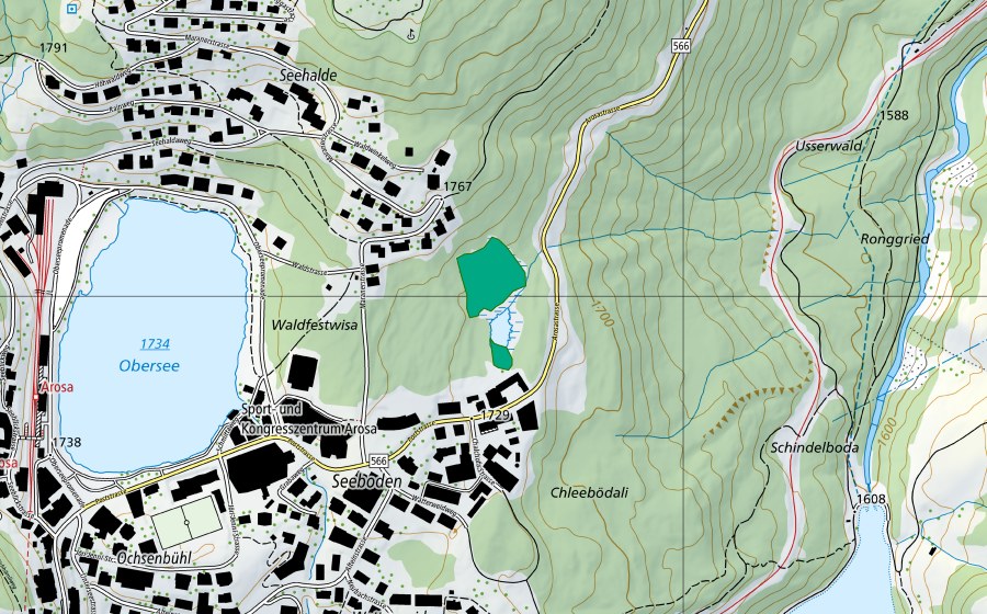 swisstopo national map showing the protected perimeter of Schwarzsee bei Arosa (Fen)