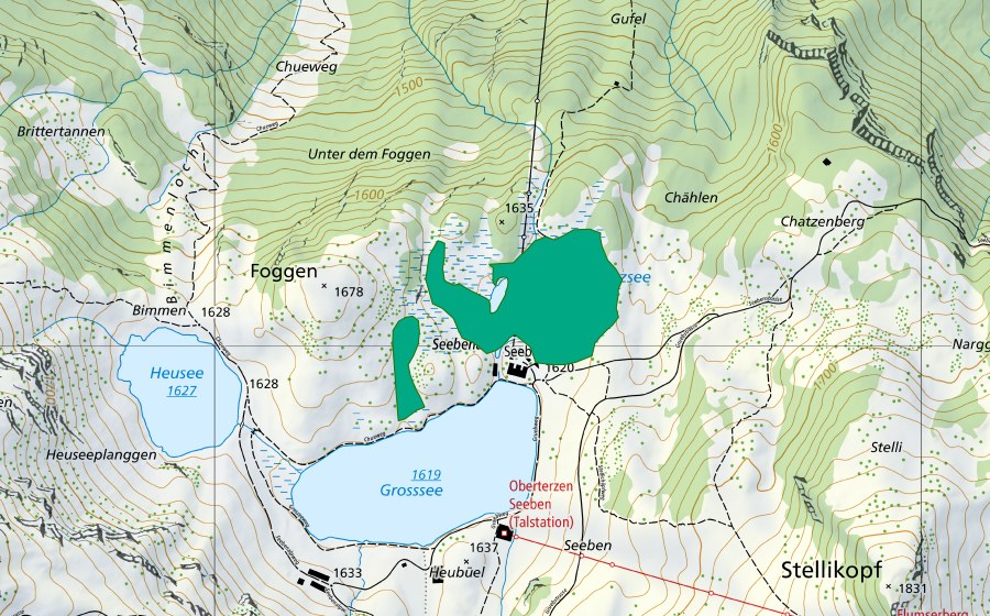 Landeskarte swisstopo mit dem Schutzperimeter von Schwarzsee (Flachmoor)