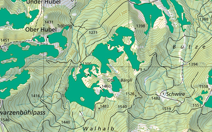 Landeskarte swisstopo mit dem Schutzperimeter von Schwarzwasser/Bärgli (Flachmoor)