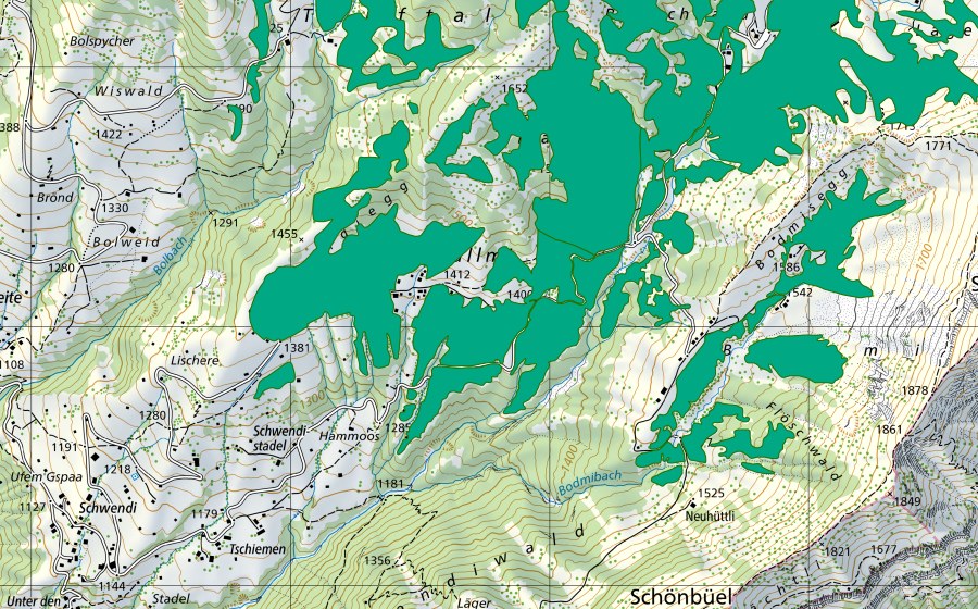 swisstopo national map showing the protected perimeter of Schwendallmi (Fen)