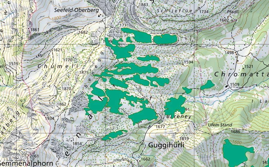 Landeskarte swisstopo mit dem Schutzperimeter von Schwendli (Flachmoor)