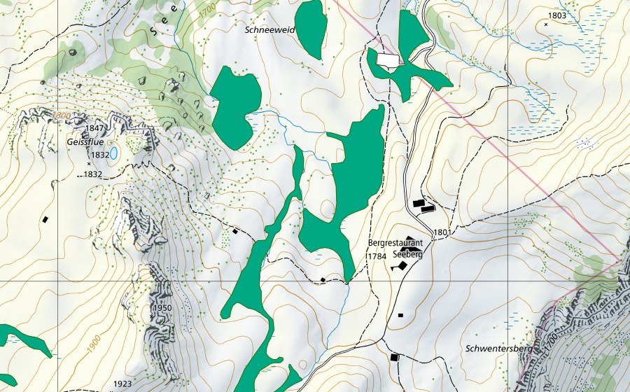 Carte nationale swisstopo avec le périmètre protégé de Seeberg (Bas-marais)