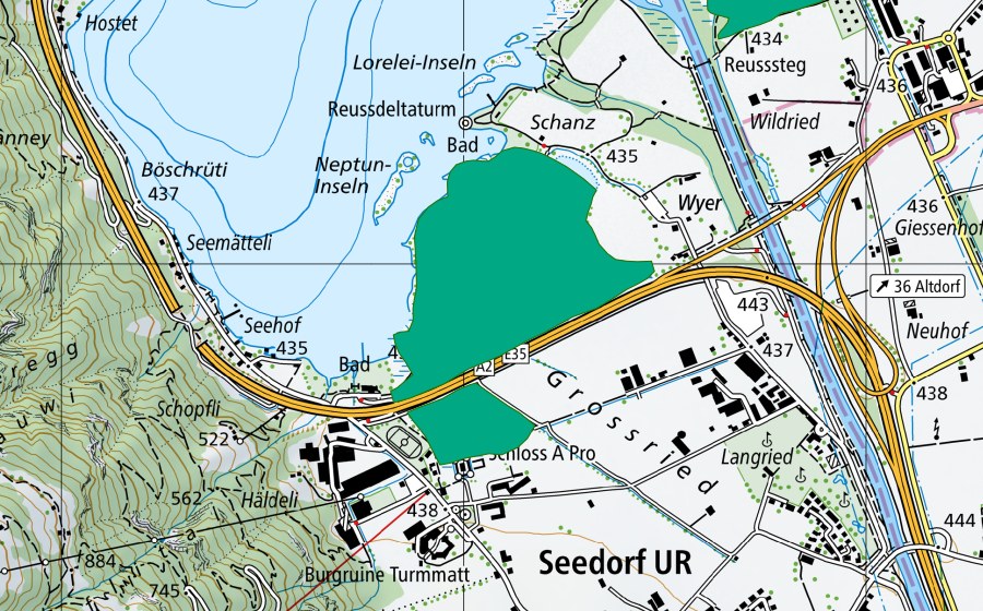 swisstopo national map showing the protected perimeter of Seedorfer Ried (Fen)