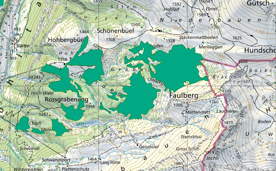 swisstopo national map showing the protected perimeter of Seeliboden im Choltal (Fen)