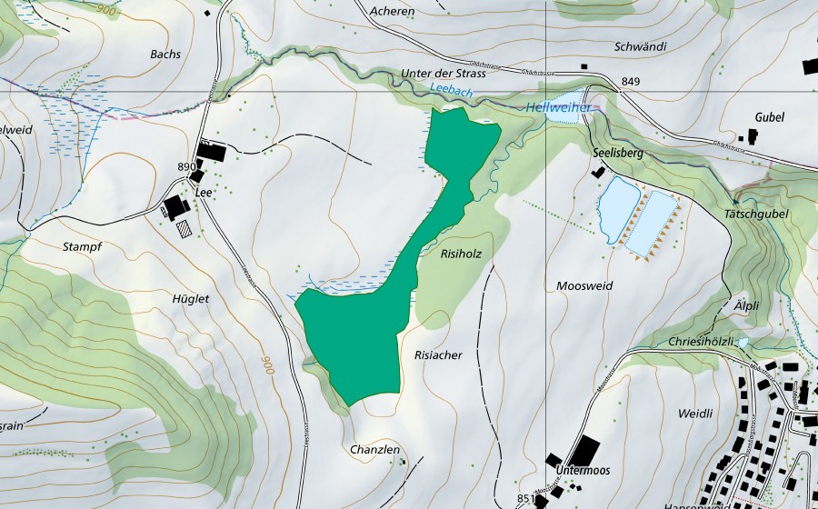 Carte nationale swisstopo avec le périmètre protégé de Seelisberg (Bas-marais)