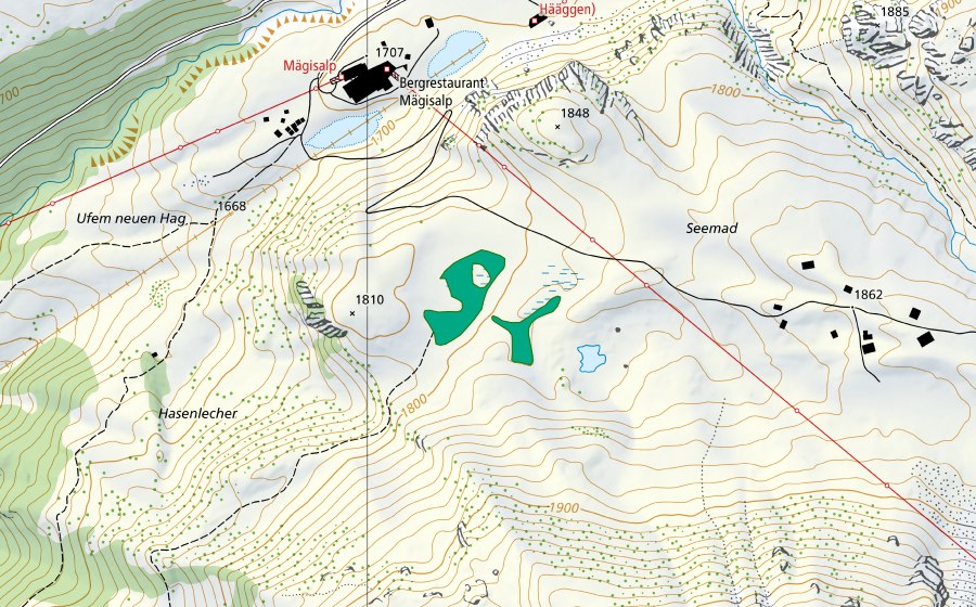 swisstopo national map showing the protected perimeter of Seemad (Fen)