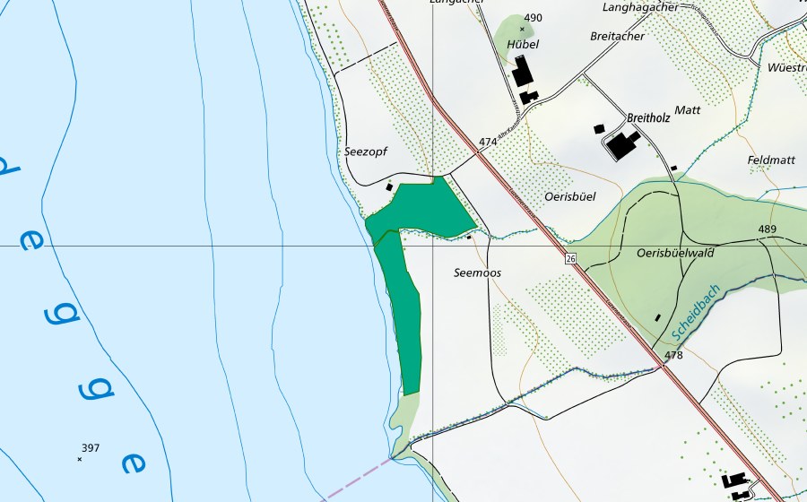 Carte nationale swisstopo avec le périmètre protégé de Seemoos (Bas-marais)