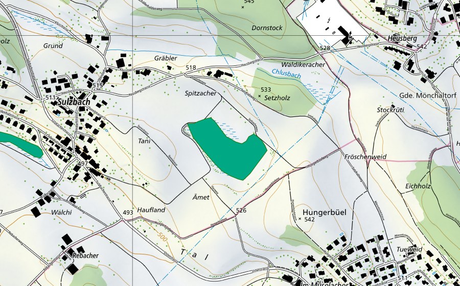 Carte nationale swisstopo avec le périmètre protégé de Seewadel (Bas-marais)