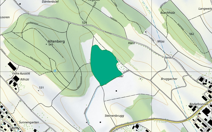 Carte nationale swisstopo avec le périmètre protégé de Seewadel (Bas-marais)