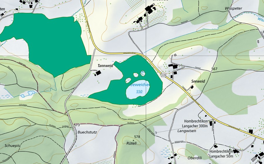 swisstopo national map showing the protected perimeter of Seeweidsee (Fen)