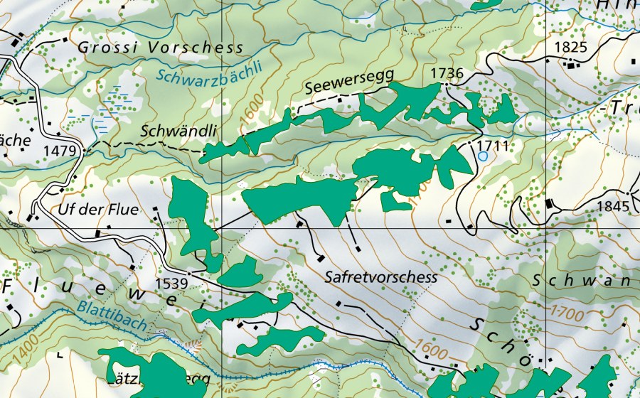 swisstopo national map showing the protected perimeter of Seewersegg (Fen)