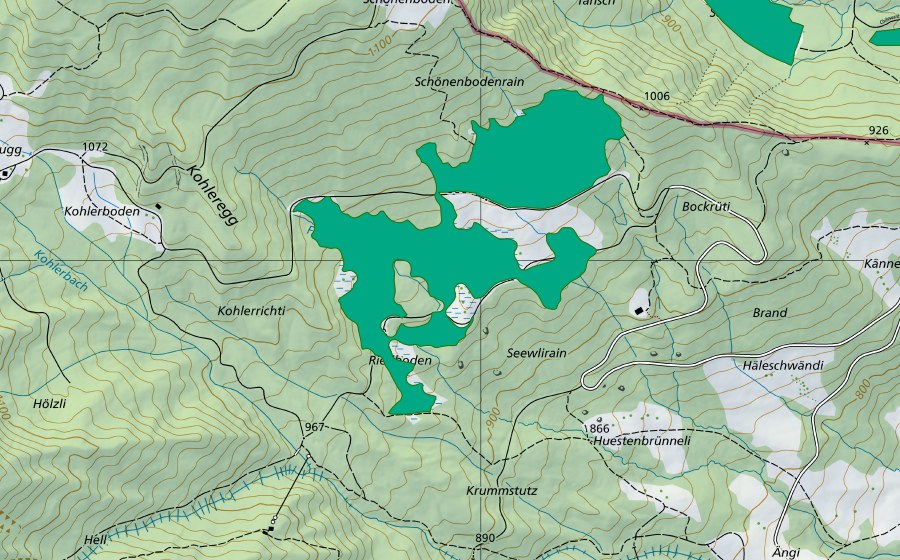 Carta nazionale swisstopo con il perimetro protetto di Seewli/Riedboden (Torbiera bassa)