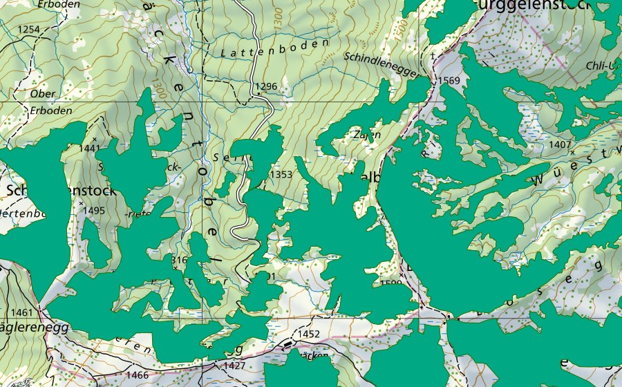 Landeskarte swisstopo mit dem Schutzperimeter von Seiler/Zwäcken (Flachmoor)