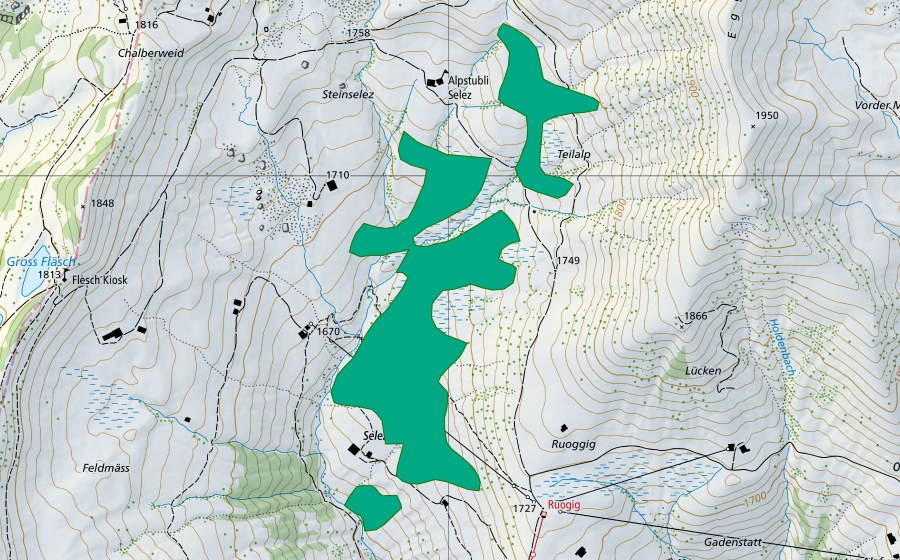 Landeskarte swisstopo mit dem Schutzperimeter von Selez (Flachmoor)