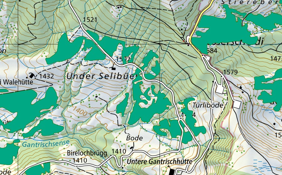 Carte nationale swisstopo avec le périmètre protégé de Selibüel (Bas-marais)