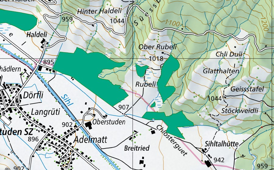Landeskarte swisstopo mit dem Schutzperimeter von Sennenried (Flachmoor)