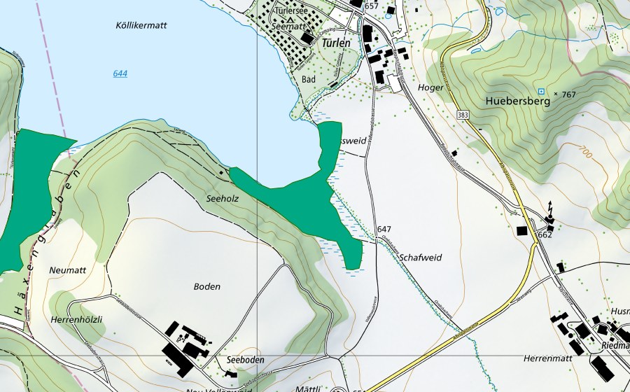 Landeskarte swisstopo mit dem Schutzperimeter von Sennweid (Flachmoor)