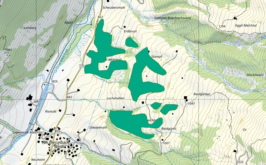 Carte nationale swisstopo avec le périmètre protégé de Siechenried (Bas-marais)