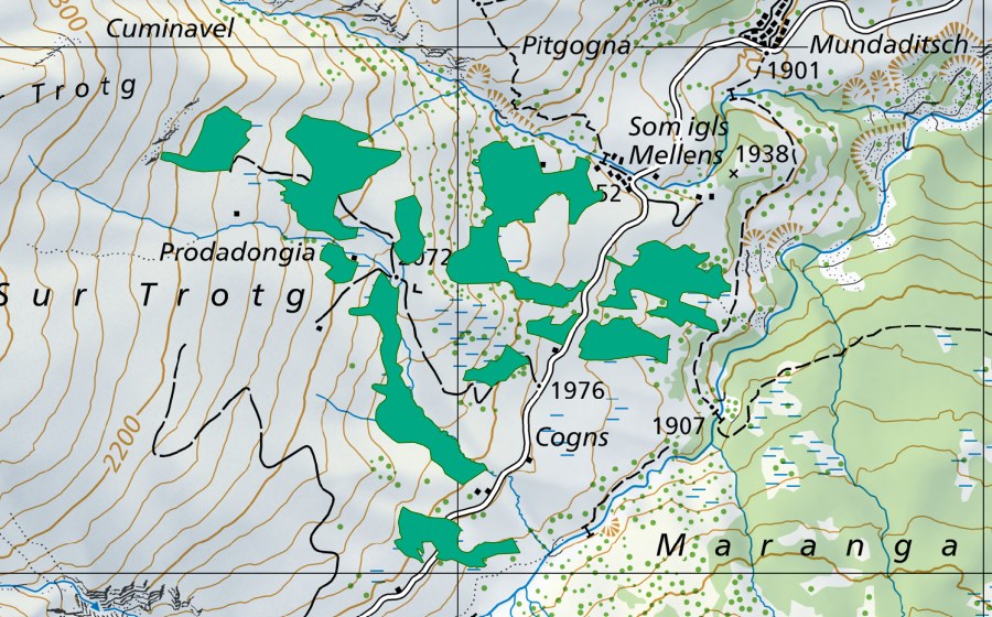 swisstopo national map showing the protected perimeter of Som igls Mellens (Fen)