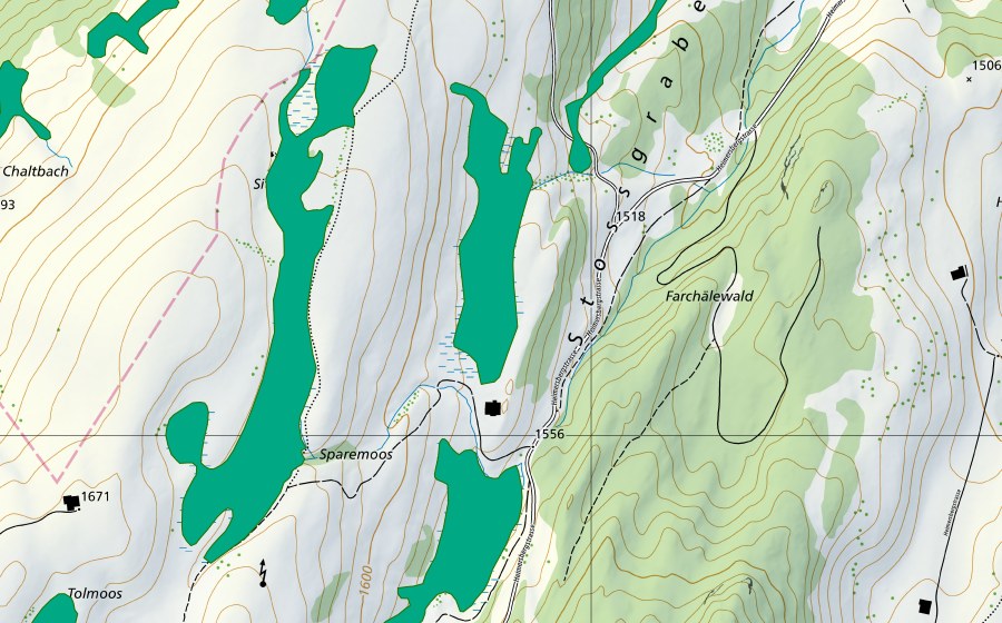 Carte nationale swisstopo avec le périmètre protégé de Sparemoos (Bas-marais)