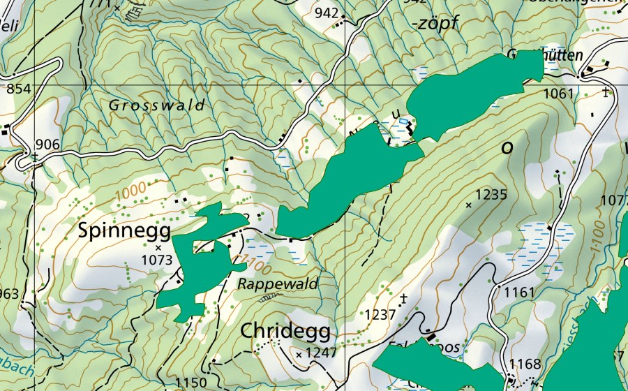 Landeskarte swisstopo mit dem Schutzperimeter von Spinnegg/Neuenmoos (Flachmoor)