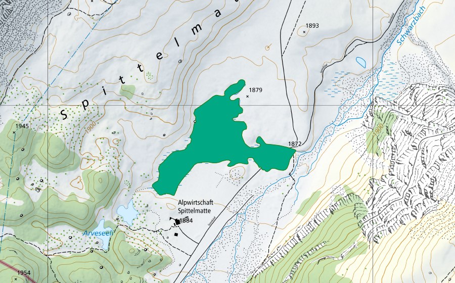 swisstopo national map showing the protected perimeter of Spittelmatte (Fen)