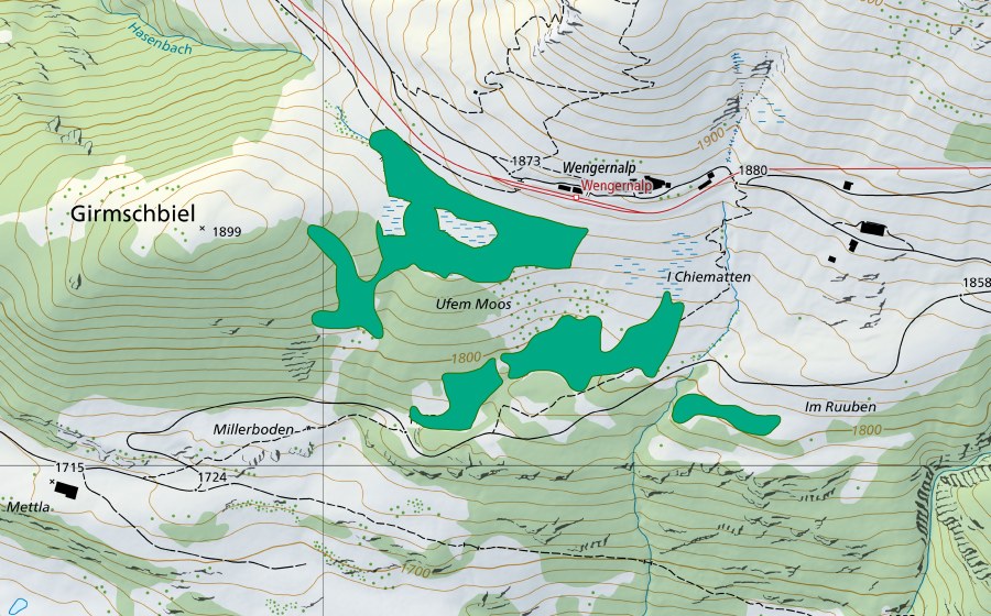 Landeskarte swisstopo mit dem Schutzperimeter von Station Wengernalp (Flachmoor)