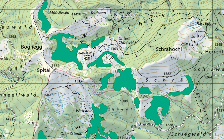 Landeskarte swisstopo mit dem Schutzperimeter von Stäubrig/Schrä (Flachmoor)