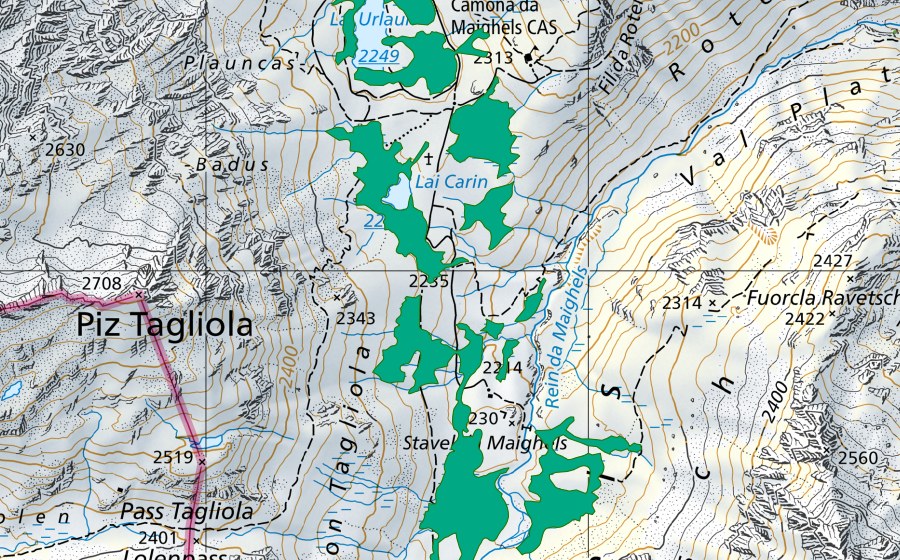 Landeskarte swisstopo mit dem Schutzperimeter von Stavel da Maighels (Flachmoor)