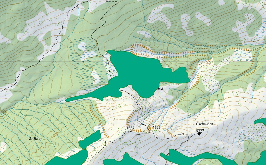 Carte nationale swisstopo avec le périmètre protégé de Steinstössi (Bas-marais)
