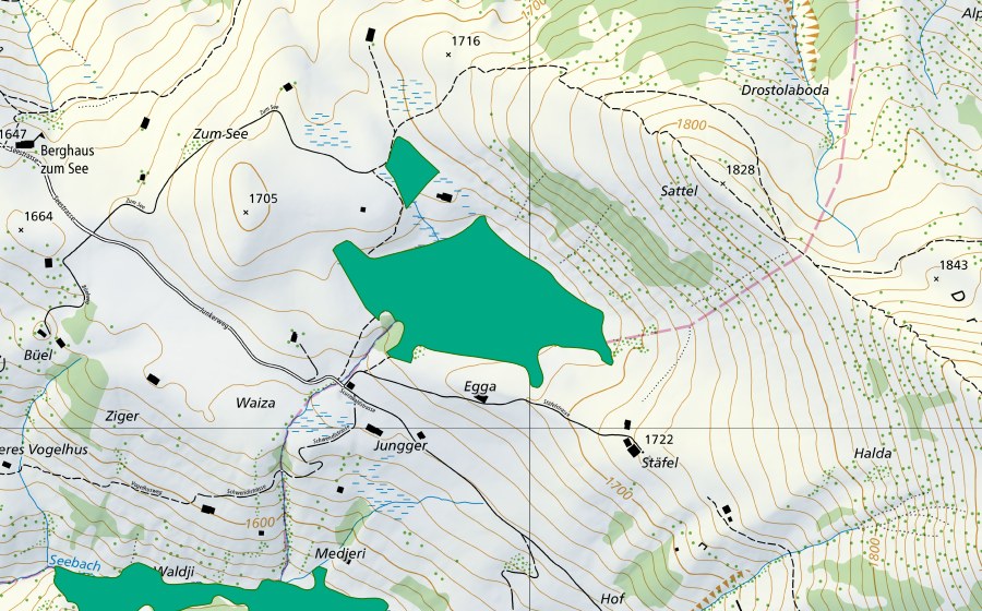 swisstopo national map showing the protected perimeter of Stelsersee (Fen)