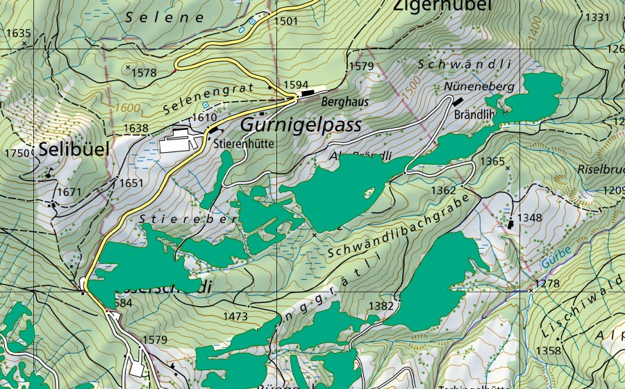 Carta nazionale swisstopo con il perimetro protetto di Stierenberg/Alp Brändli (Torbiera bassa)