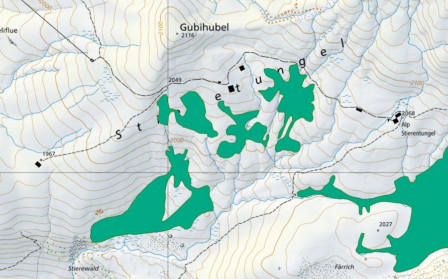 Landeskarte swisstopo mit dem Schutzperimeter von Stieretungel (Flachmoor)