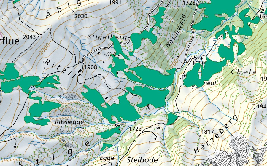 Landeskarte swisstopo mit dem Schutzperimeter von Stigelbergmad (Flachmoor)