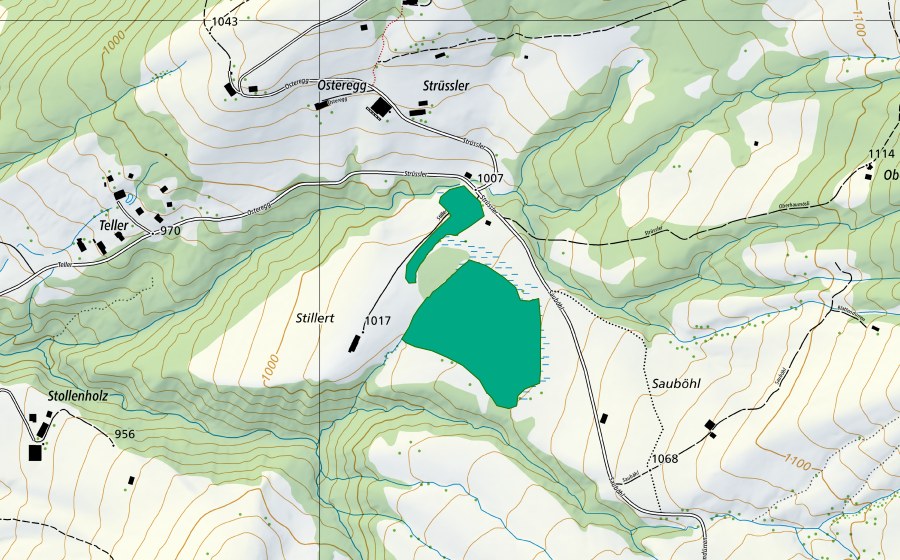 Landeskarte swisstopo mit dem Schutzperimeter von Stillert (Flachmoor)